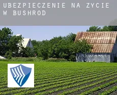 Ubezpieczenie na życie w  Bushrod