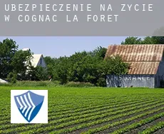 Ubezpieczenie na życie w  Cognac-la-Forêt