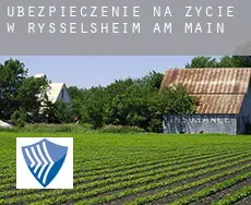 Ubezpieczenie na życie w Rüsselsheim am Main