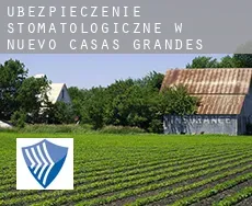 Ubezpieczenie stomatologiczne w  Nuevo Casas Grandes