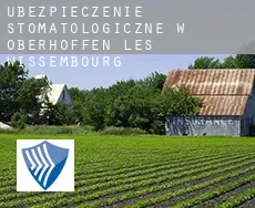 Ubezpieczenie stomatologiczne w  Oberhoffen-lès-Wissembourg