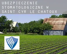 Ubezpieczenie stomatologiczne w  Saint-Cyr-le-Chatoux