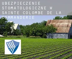 Ubezpieczenie stomatologiczne w  Sainte-Colombe-de-la-Commanderie