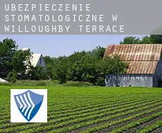 Ubezpieczenie stomatologiczne w  Willoughby Terrace