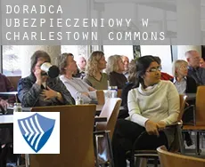 Doradca ubezpieczeniowy w  Charlestown Commons