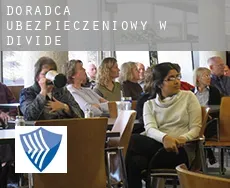 Doradca ubezpieczeniowy w  Divide