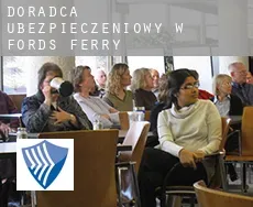 Doradca ubezpieczeniowy w  Fords Ferry