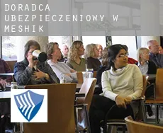 Doradca ubezpieczeniowy w  Meshik