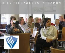 Ubezpieczalnia w  Camon