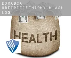 Doradca ubezpieczeniowy w  Ash Log