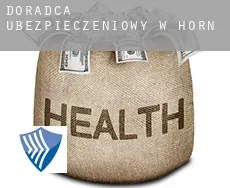 Doradca ubezpieczeniowy w  Horn