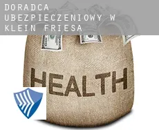 Doradca ubezpieczeniowy w  Klein Friesa