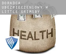 Doradca ubezpieczeniowy w  Little Grimsby