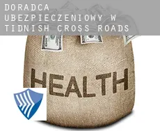 Doradca ubezpieczeniowy w  Tidnish Cross Roads