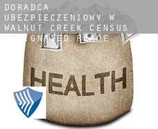 Doradca ubezpieczeniowy w  Walnut Creek