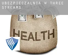 Ubezpieczalnia w  Three Streams