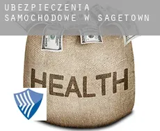 Ubezpieczenia samochodowe w  Sagetown