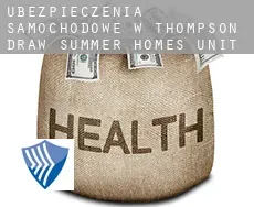 Ubezpieczenia samochodowe w  Thompson Draw Summer Homes Unit Two