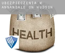 Ubezpieczenia w  Annandale-on-Hudson