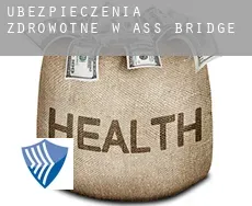Ubezpieczenia zdrowotne w  Ass Bridge