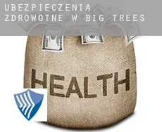 Ubezpieczenia zdrowotne w  Big Trees