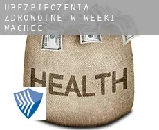 Ubezpieczenia zdrowotne w  Weeki Wachee