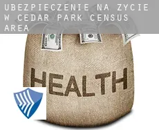 Ubezpieczenie na życie w  Cedar Park (census area)