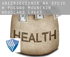 Ubezpieczenie na życie w  Pocono Mountain Woodland Lakes