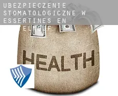 Ubezpieczenie stomatologiczne w  Essertines-en-Châtelneuf