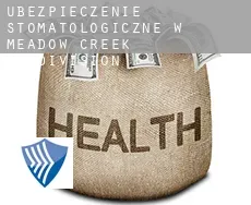 Ubezpieczenie stomatologiczne w  Meadow Creek Subdivision