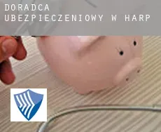Doradca ubezpieczeniowy w  Harp