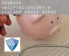 Doradca ubezpieczeniowy w  Killahy Cross Roads