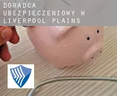Doradca ubezpieczeniowy w  Liverpool Plains