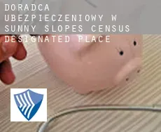 Doradca ubezpieczeniowy w  Sunny Slopes