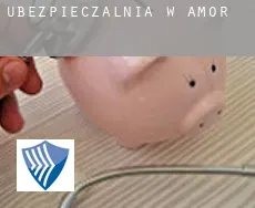 Ubezpieczalnia w  Amor