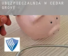 Ubezpieczalnia w  Cedar Grove