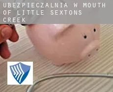 Ubezpieczalnia w  Mouth of Little Sextons Creek