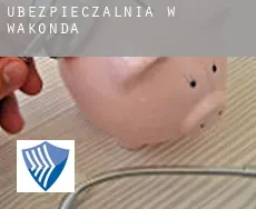 Ubezpieczalnia w  Wakonda