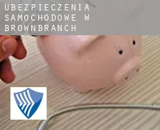 Ubezpieczenia samochodowe w  Brownbranch