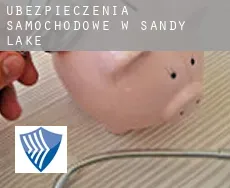 Ubezpieczenia samochodowe w Sandy Lake