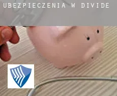 Ubezpieczenia w  Divide