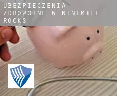 Ubezpieczenia zdrowotne w  Ninemile Rocks