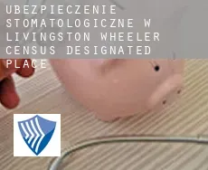 Ubezpieczenie stomatologiczne w  Livingston Wheeler