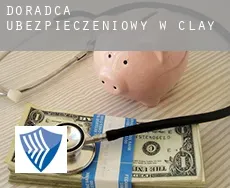 Doradca ubezpieczeniowy w Clay