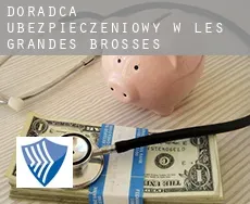 Doradca ubezpieczeniowy w  Les Grandes Brosses