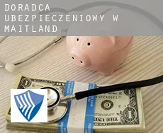 Doradca ubezpieczeniowy w  Maitland