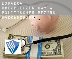 Doradca ubezpieczeniowy w  Politischer Bezirk Radkersburg