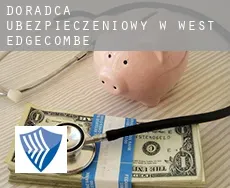 Doradca ubezpieczeniowy w  West Edgecombe