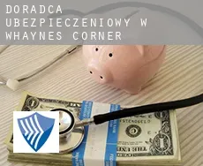Doradca ubezpieczeniowy w  Whaynes Corner