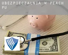 Ubezpieczalnia w  Peach Pu